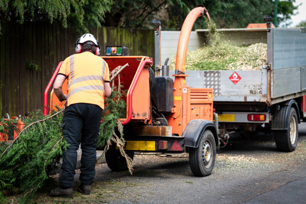 Best Hedge Trimming  in Hampshire, IL