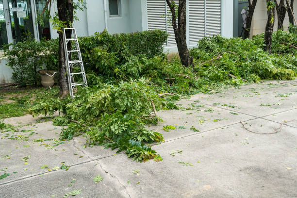 Best Aeration Services  in Hampshire, IL