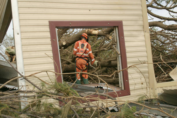 Best Tree Disease Treatment  in Hampshire, IL