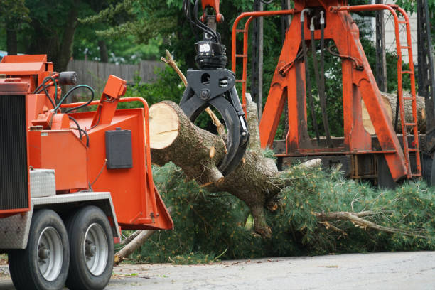 Best Weed Control  in Hampshire, IL