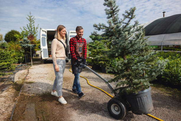Best Lawn Mowing  in Hampshire, IL
